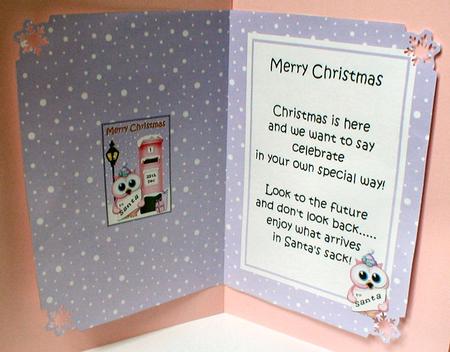 Christmas Little Hoot Owl Postbox 5x7 Matching Insert by Celia Clare