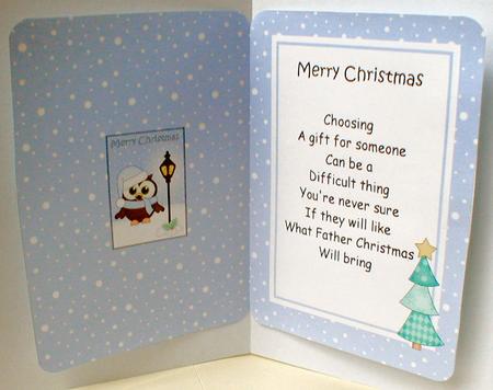 Christmas Little Hoot Owl Lamp Post 5x7 Matching Insert by Celia Clare