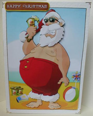 Santa's Jollies by Celia Clare