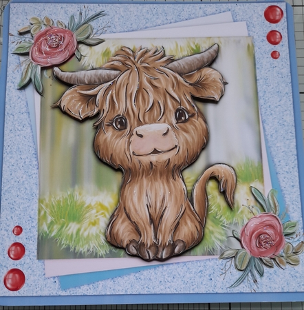 8x8 Adorable Highland Coo by Michelle Sharpe