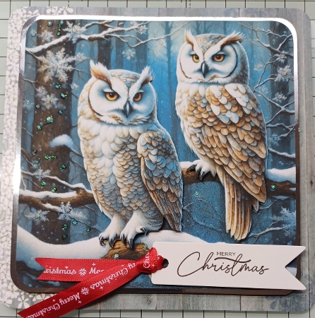 Winter Owls by Michelle Sharpe