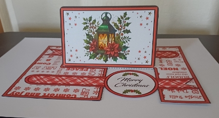 IMP Lantern & poinsettias by Michelle Sharpe