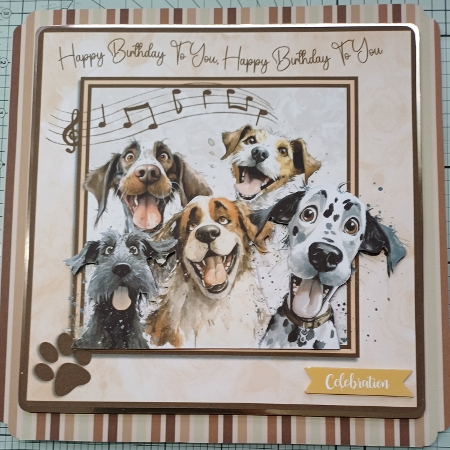 The Barking Choir by Michelle Sharpe