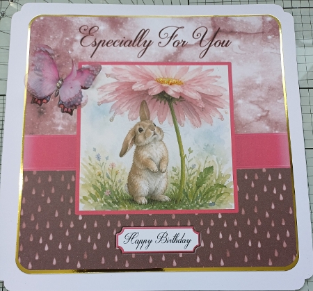 Sunshine Daisy Rabbit by Michelle Sharpe