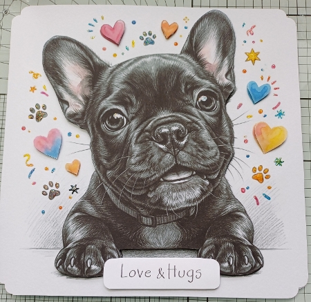 French bulldog pups  by Michelle Sharpe