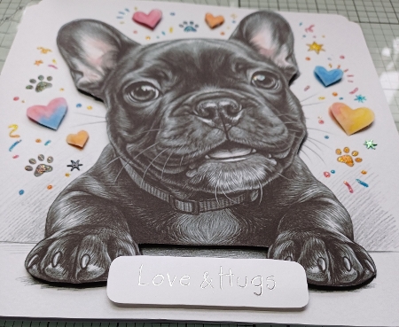 French bulldog pups  by Michelle Sharpe