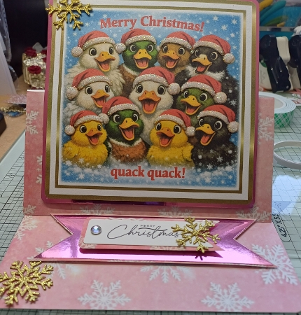 ducks christmas by Michelle Sharpe