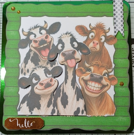 Funny Faces Cows In Green Wooden Frame 8x8 by Michelle Sharpe