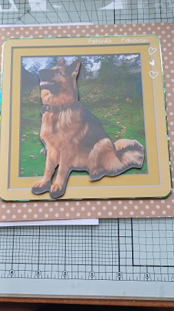 Animals Stepping Out - Alsatian by Michelle Sharpe