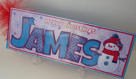Cute Snowman James Large Dl by Michelle Sharpe