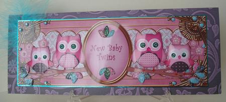 Pink Owls New Baby Twins Large Dl Decoupage Topper by Michelle Sharpe