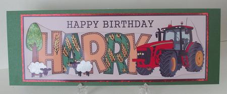 Country Life Harry Large Dl by Michelle Sharpe