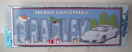 Christmas Porsche Bradley Large Dl by Michelle Sharpe