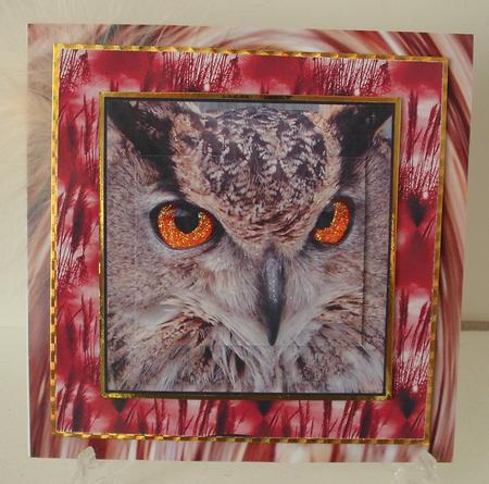I've Got My Eye on You by Michelle Sharpe