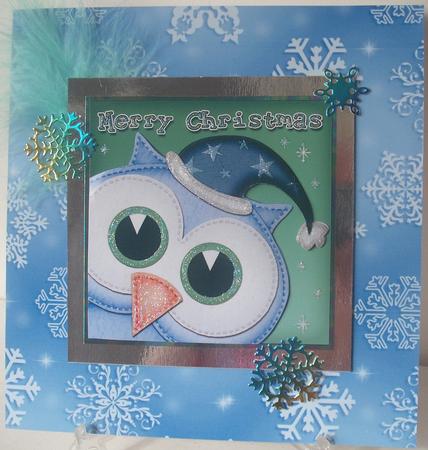 Xmas Little Hoot Fun Novelty Shell Edged Corner Side Stacker by Michelle Sharpe