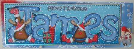 Xmas James Rudolph Large Dl & 3D Decoupage by Michelle Sharpe