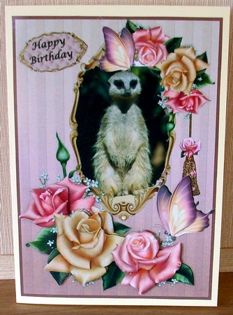 Meerkat and Roses by Cheryl French