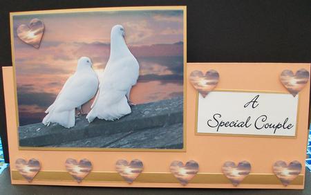 Doves at Sunset by Cheryl French