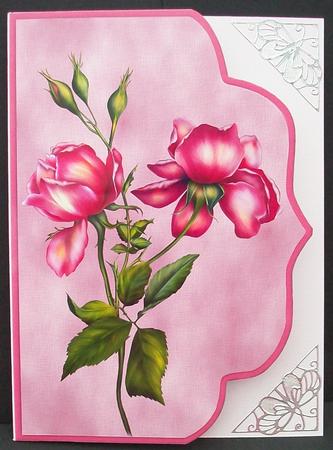 Pink Rose Envelope Shape by Cheryl French