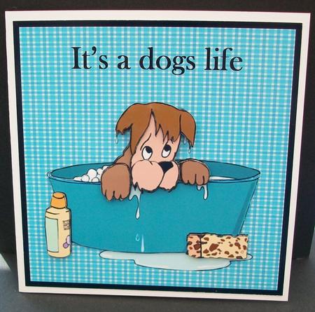 It's a Dogs Life by Cheryl French