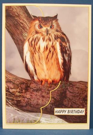Twit to Woo Envelope Card by Cheryl French