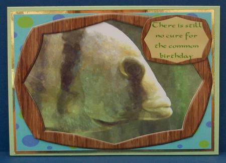 Philosophical Fish for Your Philosophical Fishermen by Cheryl French