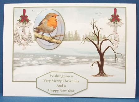Frosty Robin by Cheryl French