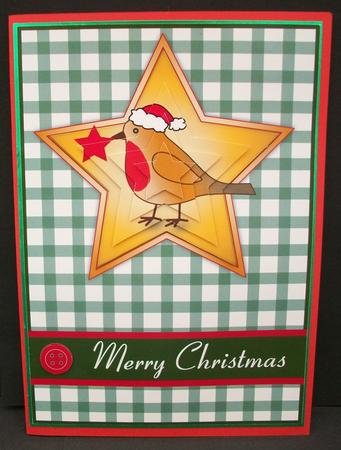 Christmas Robin Green Background by Cheryl French