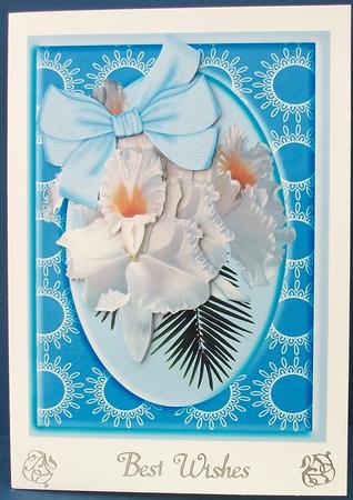 White Orchids Prettiest Pale Blue Back Ground by Cheryl French