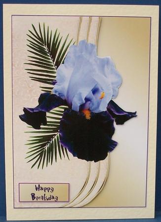Lilac and Purple Iris Faux Envelope with 4 Sentiments by Cheryl French