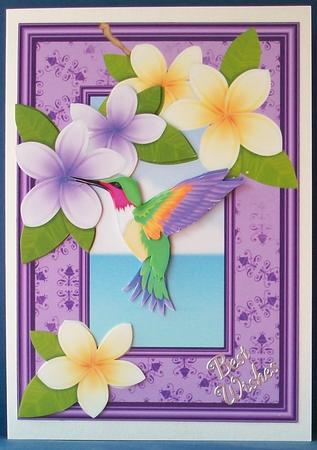Tropical Hummingbird by Cheryl French