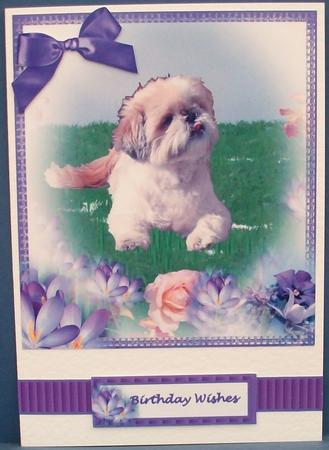 Cheeky Little Dog by Cheryl French