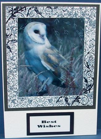 Owl at Rest by Cheryl French