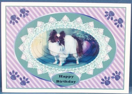 Butterfly - Papillon Dog Pyr by Cheryl French