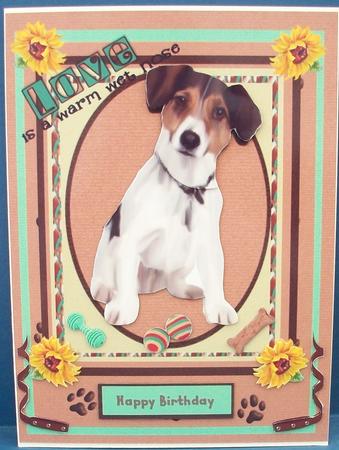 Lovely Proud Jack Russell Dog by Cheryl French
