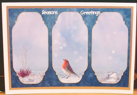 Winter Visitor Robin Card Topper by Cheryl French