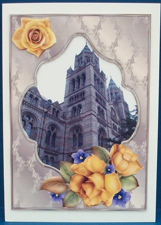 History Amongst Roses by Cheryl French