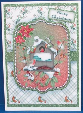 Robins in Birdhouse by Cheryl French