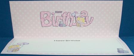 Birthday Large Dl Matching Large Dl Insert by Cheryl French