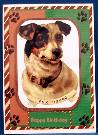 Lovely Fox Hound . by Cheryl French