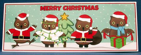 Christmas Owls Large Dl by Cheryl French