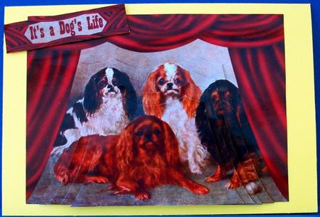 King Charles Spaniels Curtain Framed Bottom Stacker by Cheryl French