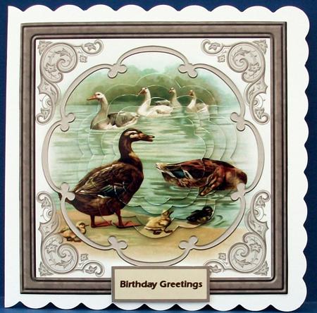 Ducks and Swans Swimming Card 3with Petal Stacker by Cheryl French