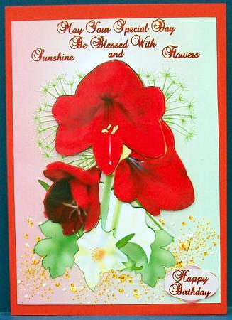 Amaryllis Flower by Cheryl French