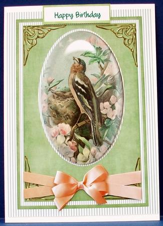 Beautiful Singing Finch by Cheryl French