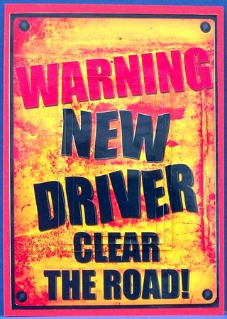 A5 Fun Novelty New Driver Pyramage Topper by Cheryl French