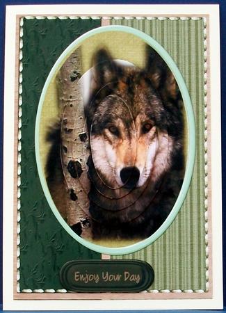 The Beautiful Lone Wolf ( Pyramid ) by Cheryl French