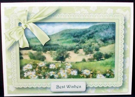 The Daisy Field by Cheryl French