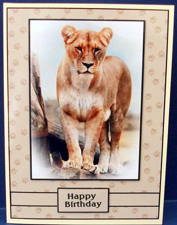Big Cat by Cheryl French