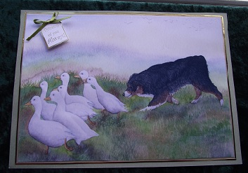 Bringing the Ducks Home by Cheryl Morrison